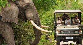 South African Tourism