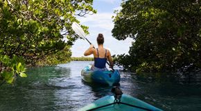 Naples, Marco Island and the Everglades