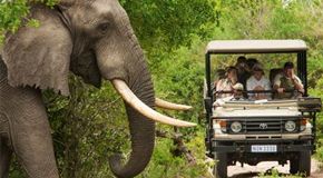 South African Tourism 